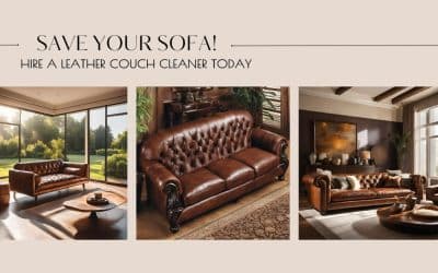 Save Your Sofa! Hire a Leather Couch Cleaner Today