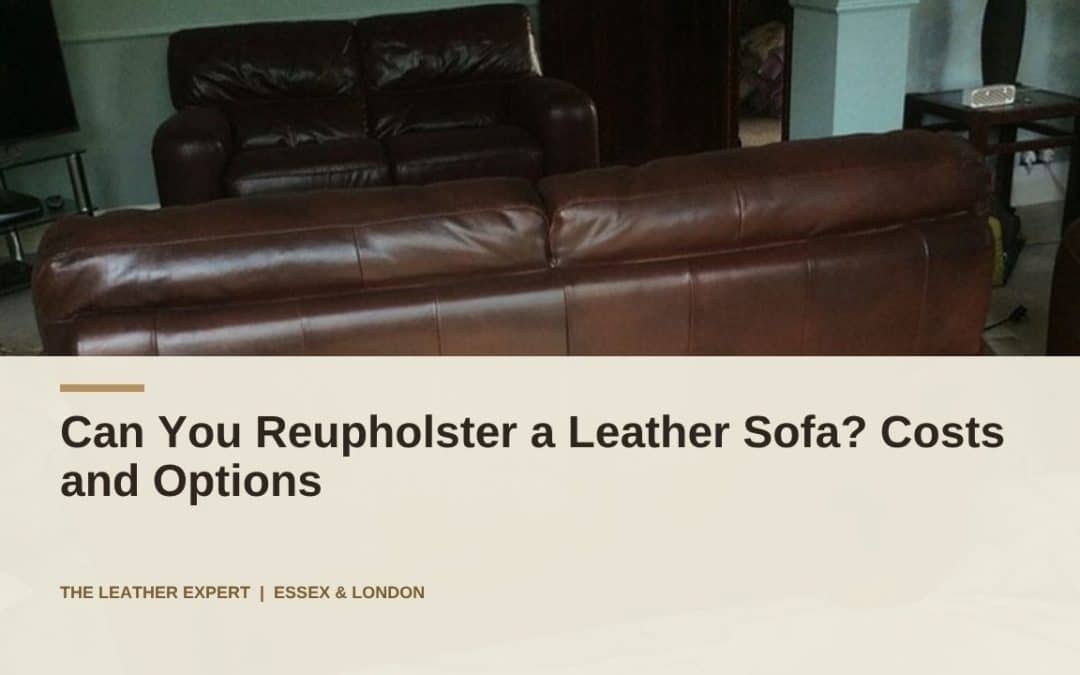 Can You Reupholster a Leather Sofa? Costs and Options