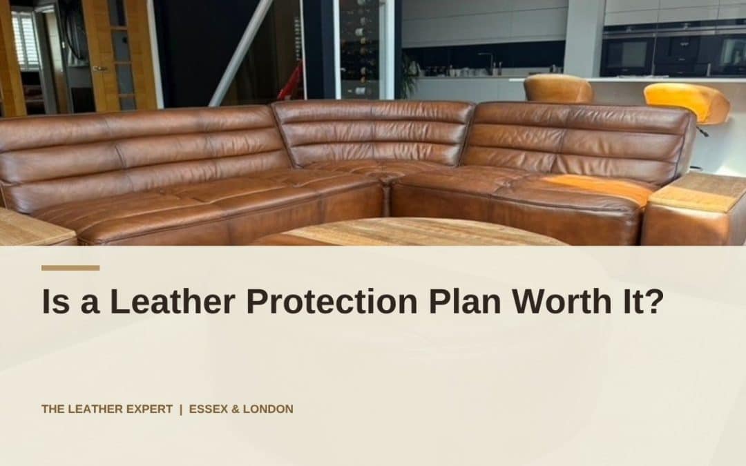 Is a Leather Protection Plan Worth It?