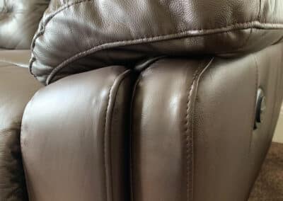 Leather Pet Scratch Repair
