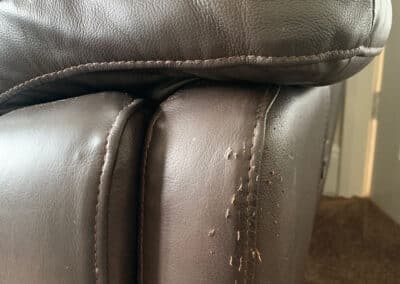 Leather Pet Scratch Repair