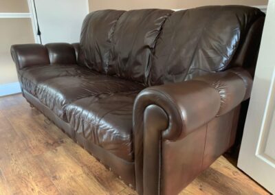 Leather Pet Scratch Repair
