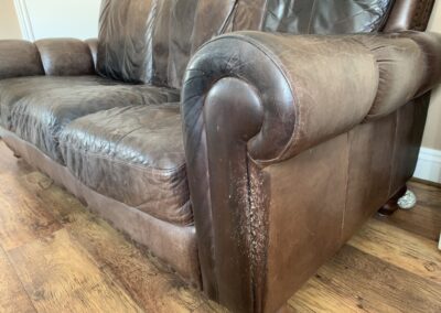 Leather Pet Scratch Repair