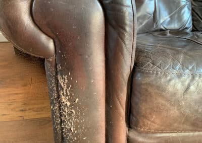 Leather Pet Scratch Repair