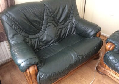 Leather Pet Scratch Repair