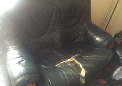 Leather Pet Scratch Repair