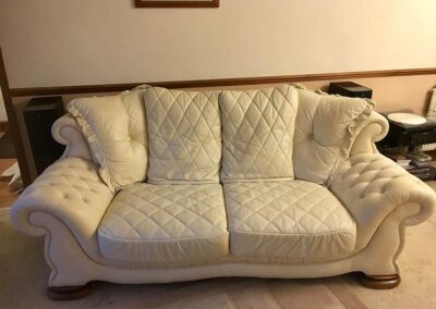 Leather Pet Scratch Repair