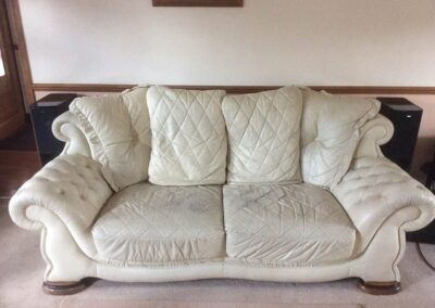 Leather Pet Scratch Repair