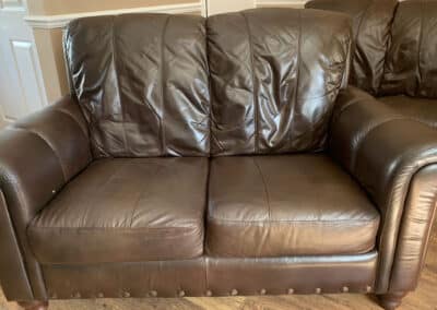 Leather Pet Scratch Repair