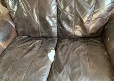 Leather Pet Scratch Repair