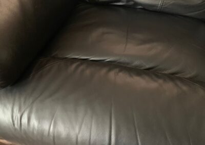 Leather Pet Scratch Repair