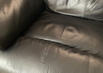 Leather Pet Scratch Repair