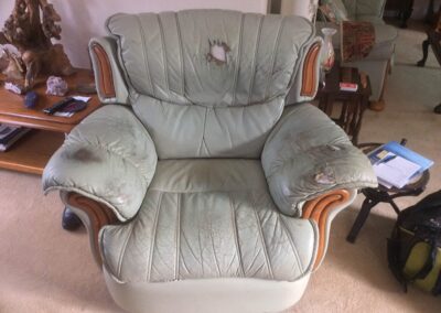 Leather Restoration