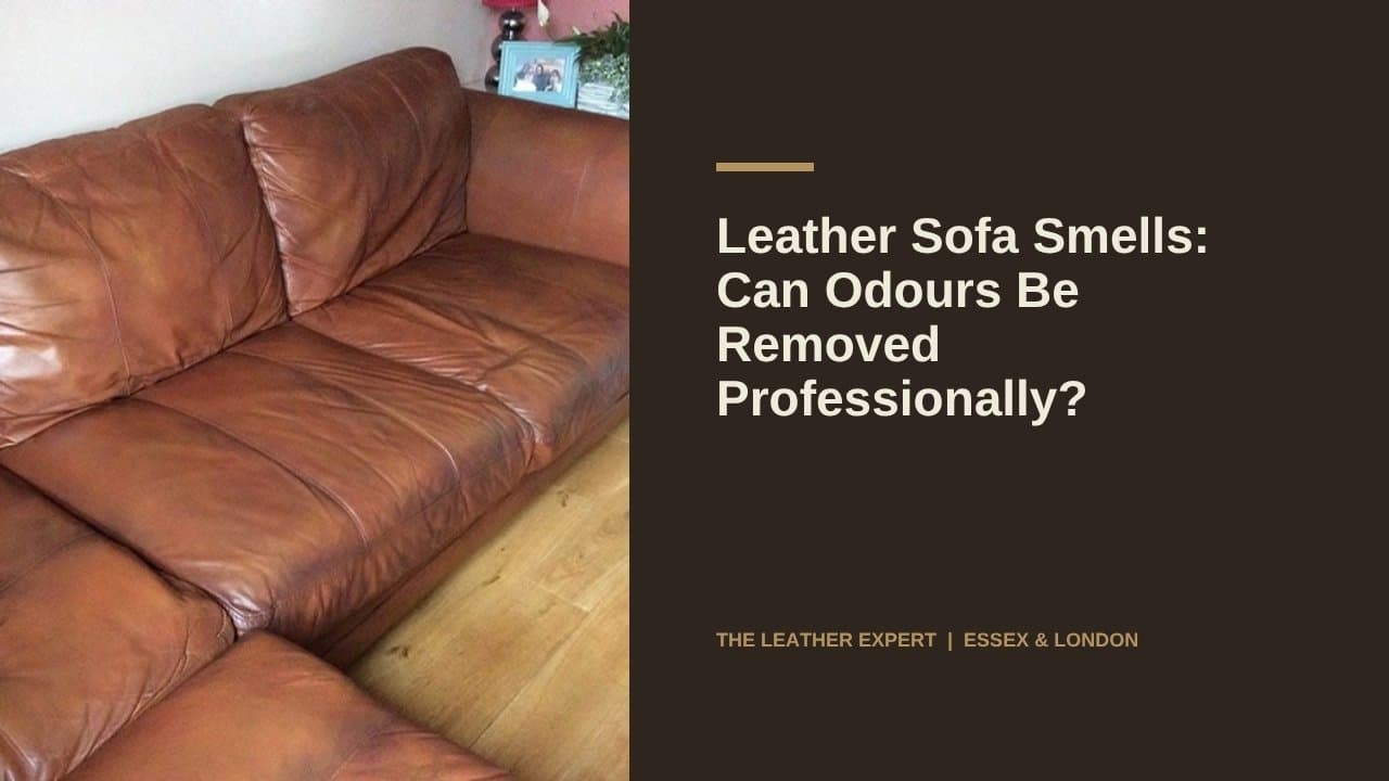 Leather Sofa Smells: Can Odours Be Removed Professionally?