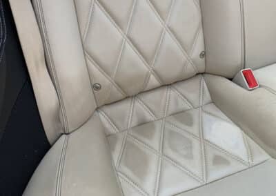 Leather Stain Removal