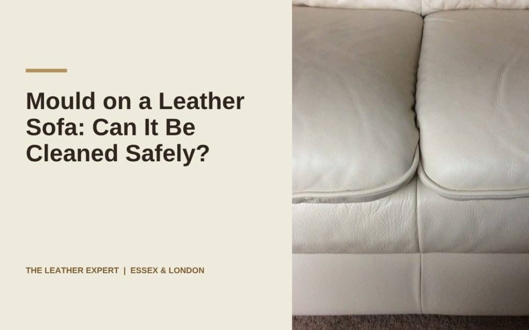 Mould on a Leather Sofa: Can It Be Cleaned Safely?